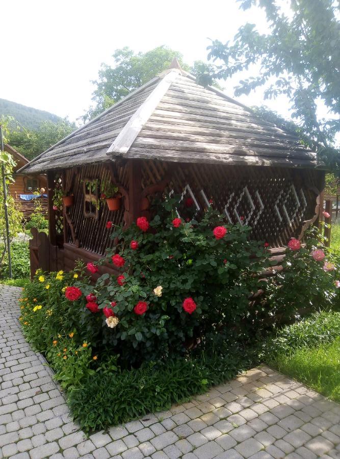 "У Пасічника" Котедж Для Сім'Ї Yaremtche Extérieur photo