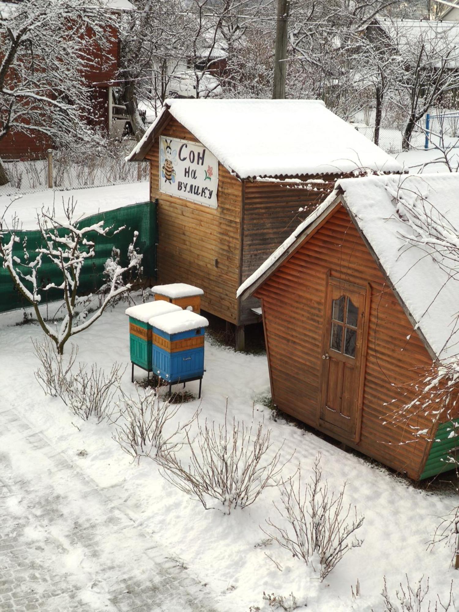 "У Пасічника" Котедж Для Сім'Ї Yaremtche Extérieur photo